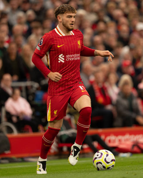 球队的后防 球队的后防